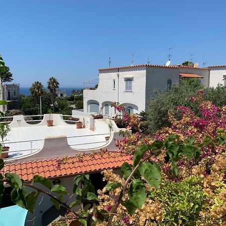 Apartment Ponente By Interhome Forio di Ischia Exteriér fotografie